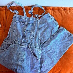 Free People We The Free Ziggy Denim Overalls Size M